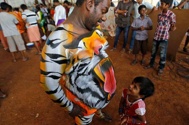 AP - Onam es un festival anual hind&#250; celebrado en Kerala, India, dedicado a la cosecha y que se realiza durante el mes de Chingam (Agosto-Septiembre). Una de sus festividades es el Pulikali o la danza del tigre. Los bailarines, entre ellos algunos ni&#241;os, pintan sus cuerpos con la imagen del felino m&#225;s grande del mundo, en una expresi&#243;n cultural que gira en torno al tema de la caza del animal.