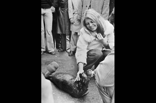 AFP - Foto tomada el 8 de abril de 1976. La actriz francesa, que dej&#243; el cine en 1933 para dedicarse a la causa animal, acaricia una cr&#237;a de foca en fecamp, el norte de Francia.