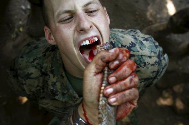 REUTERS - Soldados procedentes de siete pa&#237;ses, Tailandia, Estados Unidos, Singapur, Indonesia, Jap&#243;n, Corea del Sur y Malasia, participan en entrenamiento militar conocido como Cobra Gold 2013.