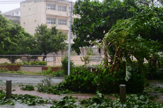 afp - Im&#225;genes televisivas mostraron un edificio destruido, fachadas da&#241;adas y &#225;rboles derribados en Naha, la capital de Okinawa.