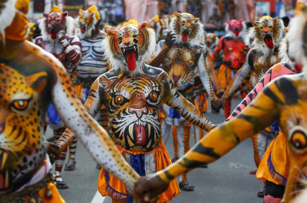 AP - Onam es un festival anual hind&#250; celebrado en Kerala, India, dedicado a la cosecha y que se realiza durante el mes de Chingam (Agosto-Septiembre). Una de sus festividades es el Pulikali o la danza del tigre. Los bailarines, entre ellos algunos ni&#241;os, pintan sus cuerpos con la imagen del felino m&#225;s grande del mundo, en una expresi&#243;n cultural que gira en torno al tema de la caza del animal.
