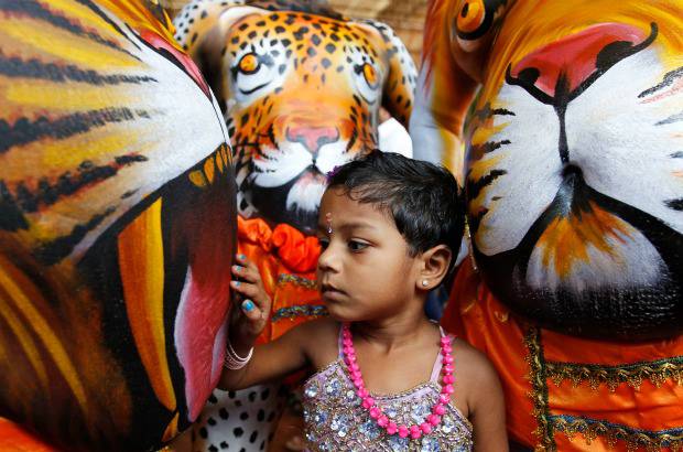AP - Onam es un festival anual hind&#250; celebrado en Kerala, India, dedicado a la cosecha y que se realiza durante el mes de Chingam (Agosto-Septiembre). Una de sus festividades es el Pulikali o la danza del tigre. Los bailarines, entre ellos algunos ni&#241;os, pintan sus cuerpos con la imagen del felino m&#225;s grande del mundo, en una expresi&#243;n cultural que gira en torno al tema de la caza del animal.