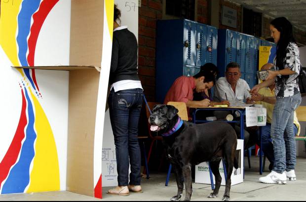 Jaime Pérez - Hasta las mascotas salieron a acompañar a sus amos, en esta sita con el futuro del país.