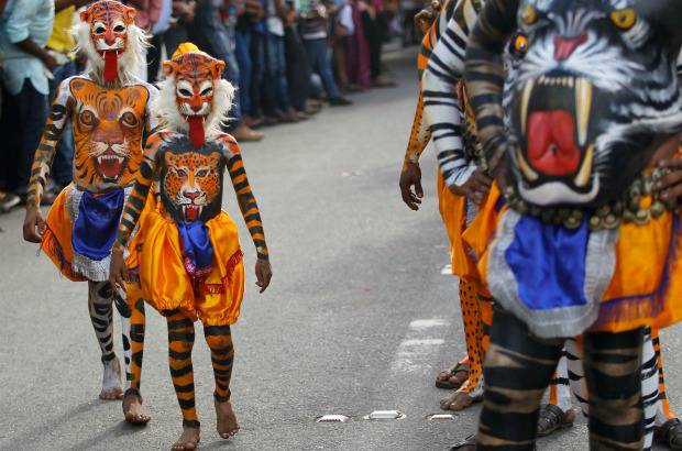 AP - Onam es un festival anual hind&#250; celebrado en Kerala, India, dedicado a la cosecha y que se realiza durante el mes de Chingam (Agosto-Septiembre). Una de sus festividades es el Pulikali o la danza del tigre. Los bailarines, entre ellos algunos ni&#241;os, pintan sus cuerpos con la imagen del felino m&#225;s grande del mundo, en una expresi&#243;n cultural que gira en torno al tema de la caza del animal.