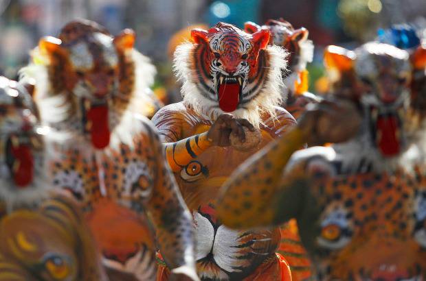 AP - Onam es un festival anual hind&#250; celebrado en Kerala, India, dedicado a la cosecha y que se realiza durante el mes de Chingam (Agosto-Septiembre). Una de sus festividades es el Pulikali o la danza del tigre. Los bailarines, entre ellos algunos ni&#241;os, pintan sus cuerpos con la imagen del felino m&#225;s grande del mundo, en una expresi&#243;n cultural que gira en torno al tema de la caza del animal.