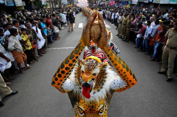 AP - Onam es un festival anual hind&#250; celebrado en Kerala, India, dedicado a la cosecha y que se realiza durante el mes de Chingam (Agosto-Septiembre). Una de sus festividades es el Pulikali o la danza del tigre. Los bailarines, entre ellos algunos ni&#241;os, pintan sus cuerpos con la imagen del felino m&#225;s grande del mundo, en una expresi&#243;n cultural que gira en torno al tema de la caza del animal.
