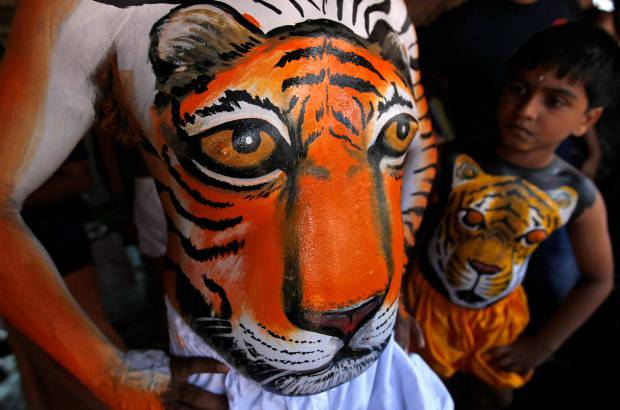 AP - Onam es un festival anual hind&#250; celebrado en Kerala, India, dedicado a la cosecha y que se realiza durante el mes de Chingam (Agosto-Septiembre). Una de sus festividades es el Pulikali o la danza del tigre. Los bailarines, entre ellos algunos ni&#241;os, pintan sus cuerpos con la imagen del felino m&#225;s grande del mundo, en una expresi&#243;n cultural que gira en torno al tema de la caza del animal.