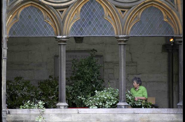 Reuters - Las flores que colmar&#225;n Westminster ser&#225;n de especies aut&#243;ctonas del Reino Unido.