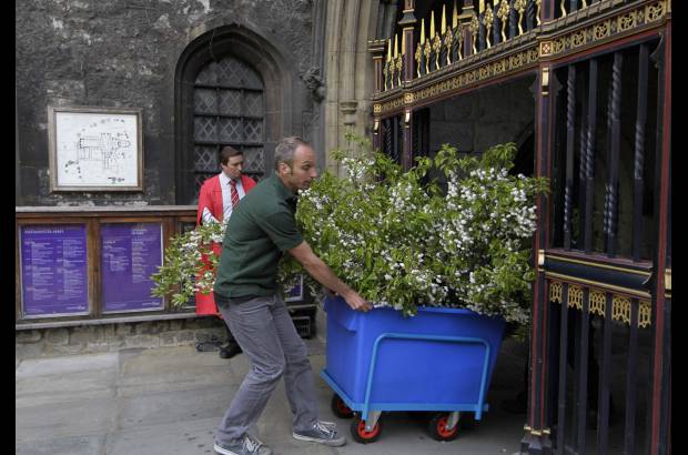 Reuters - El encargado de realizar los arreglos en la nave de la abad&#237;a, el florista Shane Connoly, se&#241;al&#243; que la decoraci&#243;n del recinto est&#225; pensada para deslumbrar al p&#250;blico de una ceremonia con una audiencia potencial cercana a los 2.000 millones de personas.