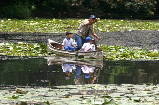 FOTO EL COLOMBIANO - El Jardín Botánico Joaquín Antonio Uribe es un espacio de encuentro natural en medio de la ciudad, ideal para el conocimiento, el descanso y la relajación. Declarado Patrimonio Cultural de Medellín, es uno de los más bellos sitios de Antioquia, el país y el mundo dedicados a la botánica.
