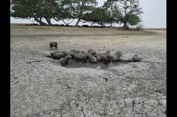 Foto: Heidy Puerta - Ruiz hizo un llamado a todas las empresas petroleras del sector, que hacen presencia en Paz de Ariporo, para que aporten recursos, maquinaria y logística para la adecuación de los reservorios, en las veredas afectadas por la sequía.