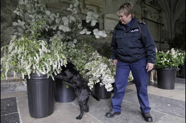 Reuters - Habr&#225; Sellos de Salom&#243;n, una planta de florecillas blancas tra&#237;da de Sandringham, en el condado de Norfolk, que simboliza la confirmaci&#243;n del amor