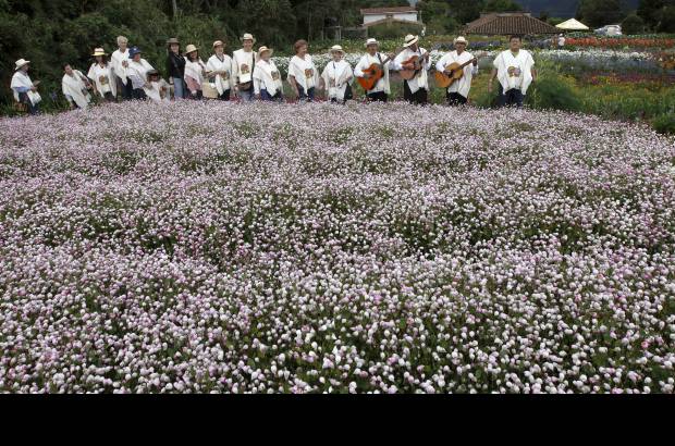 Foto Donaldo Zuluaga - Santa Elena, una vez m&#225;s, es la anfitriona de la Feria de las Flores 2012.