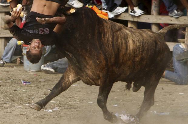Reuters - La corraleja de este domingo fue la pen&#250;ltima de las cuatro corralejas de las fiestas patronales de Arjona, poblaci&#243;n cercana a la ciudad de Cartagena de Indias.