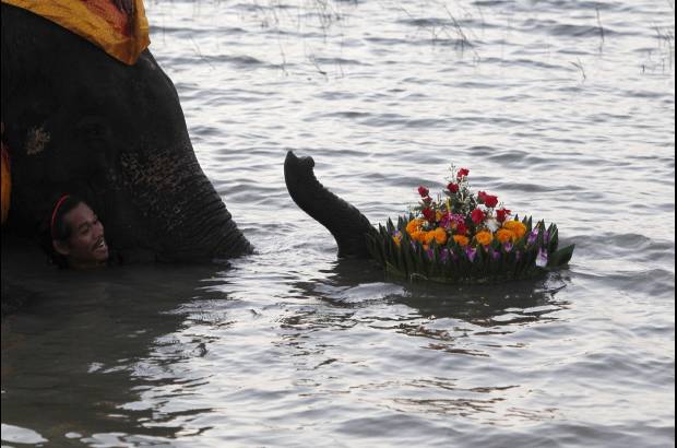 Reuters - Los tailandeses homenajearon a la diosa del agua siguiendo la milenaria tradición, aunque en esta ocasión las graves inundaciones que afectan a Tailandia dieron pocos motivos para festejar el Festival de "Loy Kratong".