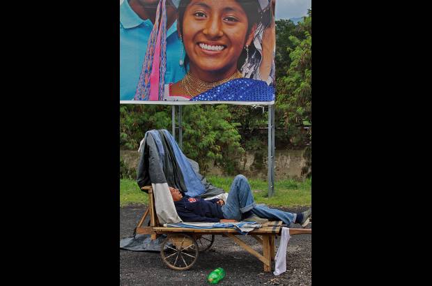 Henry Agudelo - En ellas se viven largas jornadas a la intemperie al lado de sus familias y mascotas, tienen marcado su territorio de b&#250;squeda.