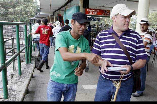 Foto Donaldo Zuluaga - Carniceros y menudeadores compran el ganado.