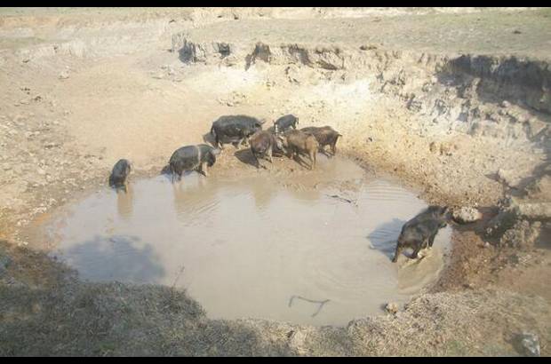 Foto: Heidy Puerta - Todas estas medidas de emergencia son de carácter temporal, porque los efectos del fuerte verano son un componente del cambio climático, por lo que el Gobierno seccional está trazando un plan de acción a corto, mediano y largo plazo.