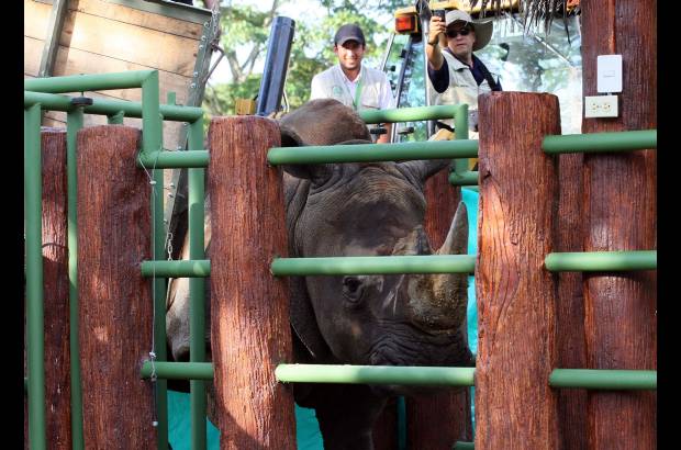 Jaime P&#233;rez - Vera tendr&#225; un espacio de 20.000 metros cuadrados (20 veces m&#225;s grande que el que ten&#237;a en el zool&#243;gico) donde podr&#225; moverse con total libertad en medio de la naturaleza.