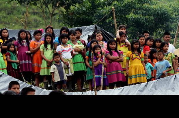 Jaime Pérez Munévar - Del árbol de la vida nacen los embera katíos. La madre tierra con su gran río Atrato los nutre en el Chocó. La selva, los animales y todo lo que ella esconde, en el día y en la noche, es el sustento de estos miles de indígenas que tienen allí sus resguardos.