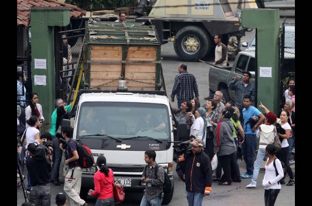 Manuel Saldarriaga - El proceso arrancó hacia las seis de la mañana, cuando el animal fue encerrado en el guacal que había sido instalado en su guarida desde hace 20 días.