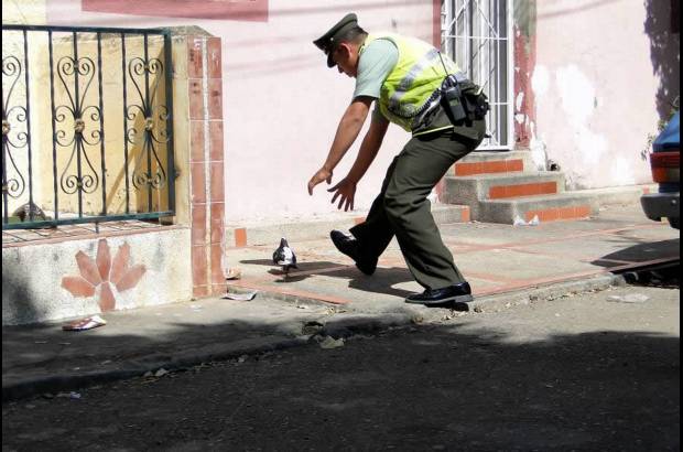 Colprensa - Agentes de la Polic&#237;a especializados en la rama ambiental hallaron el ave cerca a la C&#225;rcel Modelo de Bucaramanga. En su cuerpo encontraron 40 gramos de marihuana y 5 de bazuco.