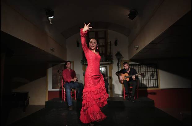 REUTERS - Maika Kubo es una japonesa que ha llamado la atenci&#243;n por su talento para bailar flamenco. Desde peque&#241;a, en su colegio, aprendi&#243; esta danza y ahora su amor por el baile la llev&#243; a Sevilla, Espa&#241;a, lugar de origen de estos llamativos pasos.