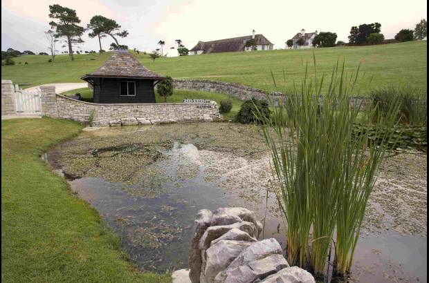 Reuters - Ese entusiasmo por las villas suntuosas impuls&#243; al emprendedor Dotcom a intentar adquirir sin &#233;xito y por 25 millones de d&#243;lares, la vivienda de Coatesville que al final alquil&#243; para resarcirse de la desilusi&#243;n que sufri&#243; al no poder comprarla a causa de las trabas que le puso la Administraci&#243;n neozelandesa.
