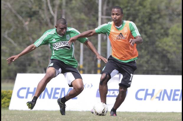 Hern&#225;n Vanegas - Luis Fernando Mosquera y Farid D&#237;az son variantes en el verde que recibir&#225; al Tolima.