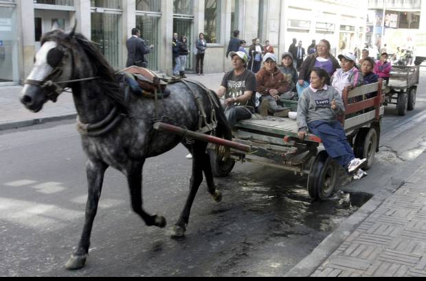 Germ&#225;n Enciso, Colprensa - En la capital de la Rep&#250;blica, con m&#225;s de ocho millones de habitantes, se rompe la escena de la cotidianidad y el agite de las v&#237;as congestionadas con el tr&#225;nsito de los veh&#237;culos de tracci&#243;n animal.