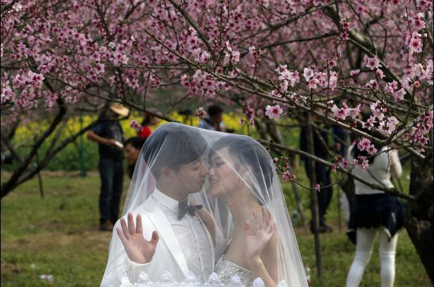 Reuters - Las fotos de boda son muy apetecidas en el parque en Wenzhou , provincia de Zhejiang, China.