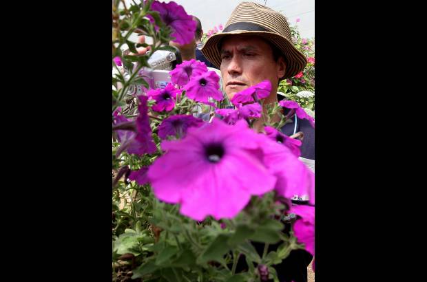 Donaldo Zuluaga - El Museo Vivo de Las Flores tiene 170 especies cultivadas, que muestran lo mejor de las flores antioqueñas.