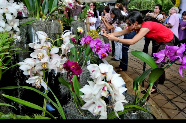 Juan Antonio S&#225;nchez - Orqu&#237;deas, p&#225;jaros y flores se extender&#225; hasta el 7 de agosto.