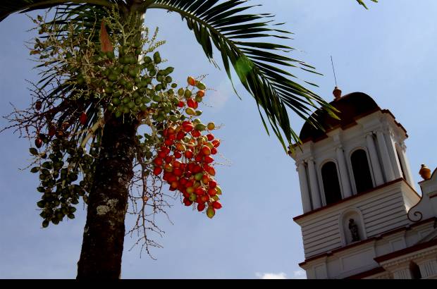 Donaldo Zuluaga - La econom&#237;a de Sopetr&#225;n se fundamenta en el cultivo de las frutas y el ma&#237;z. Tambi&#233;n en la ganader&#237;a y el turismo.