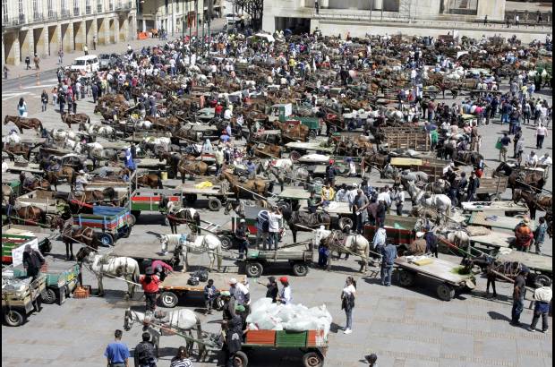 Germ&#225;n Enciso, Colprensa - En la plaza de Bol&#237;var, los &quot;zorreros&quot; dejaron saber que no quieren que su oficio desaparezca con la implementaci&#243;n de veh&#237;culos mecanizados, como ya se hizo en Medell&#237;n hace un par de a&#241;os. Para ellos sus carretas guardan muchos kil&#243;metros de recuerdos y an&#233;cdotas.