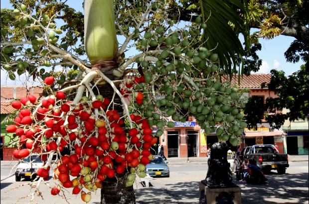 Donaldo Zuluaga - Sopetr&#225;n, cuyo apelativo es Tierra de las frutas, fue fundado en 1616 y se convirti&#243; en municipio de 1814.