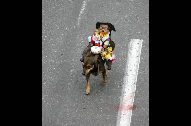 Esteban Vanegas - Hasta los perros se unieron al Desfile a Caballo.
