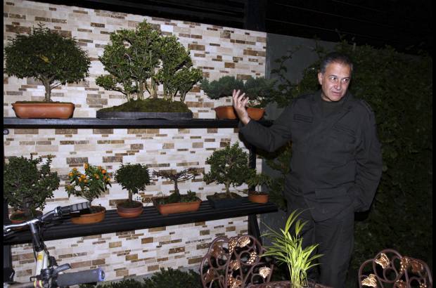 Foto Manuel Saldarriaga - Una de sus pasiones es coleccionar bons&#225;i, los cuales est&#225;n perfectamente ubicados en el patio de su casa.