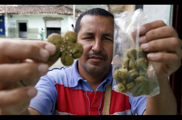 Manuel Saldarriaga - Erney Ruiz, habitante del corregimiento Lerma, se niega a dejar la tradici&#243;n de masticar coca y desea montar una empresa productora de alimentos con base en la hoja de coca. La mitad del pueblo vive de este cultivo.