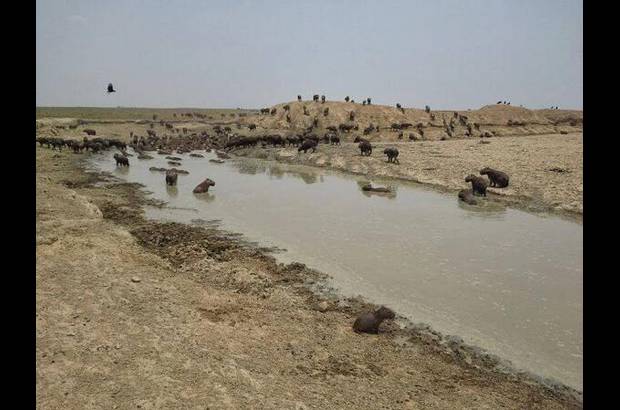 Foto: Heidy Puerta - Así mismo, la construcción de obras, como las propuestas de forma preliminar para el mediano plazo, que consisten en la perforación pozos profundos, con equipos de bombeo para abastecer los ecosistemas.