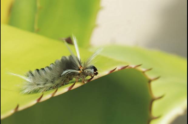 Cortes&#237;a - El trayecto tiene una duraci&#243;n de una hora y media en un sistema de cuevas semi-inundadas.