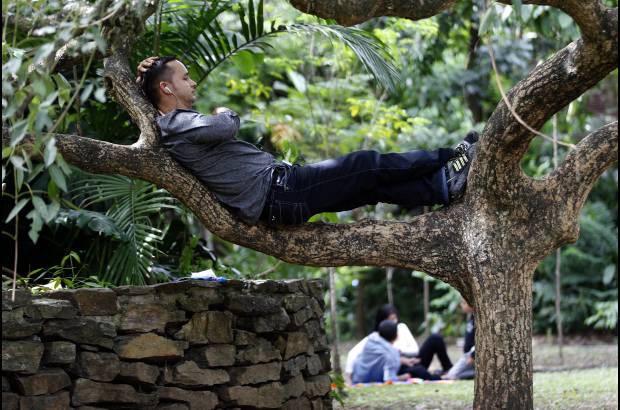 FOTO EL COLOMBIANO - El Jardín Botánico Joaquín Antonio Uribe es un espacio de encuentro natural en medio de la ciudad, ideal para el conocimiento, el descanso y la relajación. Declarado Patrimonio Cultural de Medellín, es uno de los más bellos sitios de Antioquia, el país y el mundo dedicados a la botánica.