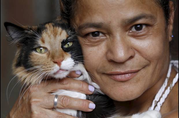 Donaldo Zuluaga - Ella es Lupita, una gata que por su edad y tama&#241;o no aplica para adopci&#243;n. Es la compa&#241;era de Dora.