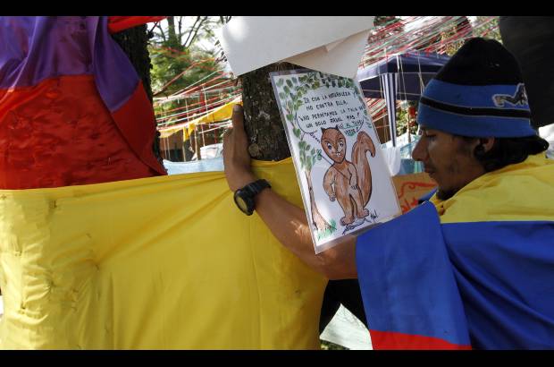 Donaldo Zuluaga Velilla - Abrazando los &#225;rboles, integrantes del Comit&#233; Prot&#250;nel Verde demuestran su amor por estos individuos que embellecen la entrada de Envigado.
