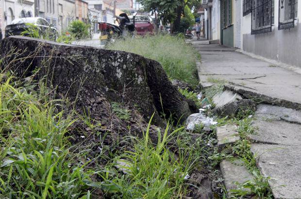 Manuela Palacio Hern&#225;ndez - Este and&#233;n est&#225; en total deterioro. Se ubica en la carrera 72 con calle 43, sector de Laureles San Joaqu&#237;n.