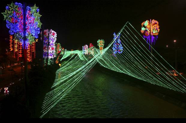 Juan Sebasti&#225;n Carvajal Beltr&#225;n - La ribera del r&#237;o Medell&#237;n luce los &#225;rboles m&#225;s coloridos y representativos de Antioquia.