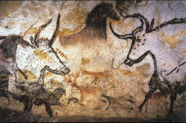 Commons Wikipedia - Hongo de la cueva de Lascaux Francia que amenaza las pinturas rupestres del sitio: Ochrononis lascauxenis.