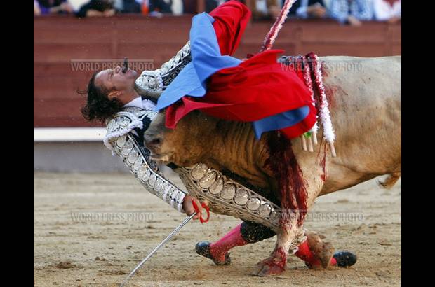 World Press - Gustavo Cuevas, de España, de la agencia Efe, ganó en la categoría Deportes, con la cornada del matador Julio Aparicio.