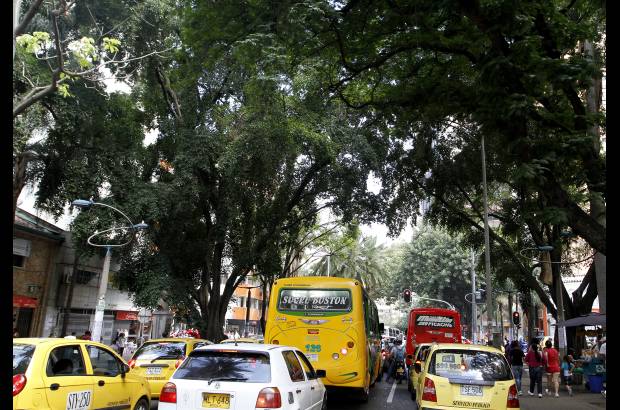 Donaldo Zuluaga Velilla - Avenida La Playa, desde el Teatro Pablo Tob&#243;n Uribe hasta El Palo. La Secretar&#237;a de Infraestructura de Medell&#237;n inform&#243; que no tiene contemplada intervenci&#243;n f&#237;sica en este tramo.