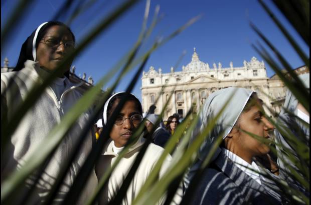 AP - Olivos centenarios tra&#237;dos de la sure&#241;a regi&#243;n italiana de Puglia (Apulia), ramas de olivos procedentes de la residencia papal de Caste Gandolfo, en el sur de Roma, y palmas procedentes de Elche (Espa&#241;a) y Sanremo (Italia) adornaron la plaza vaticana.